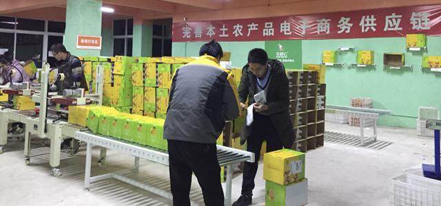 借力农村电商“东风” 助推金堂柑橘销往全国