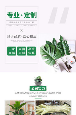 园艺鲜花电商运营全攻略 从供应链到客户复购的实战模型