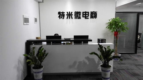长沙特米电子商务 数字化转型中的新零售探索
